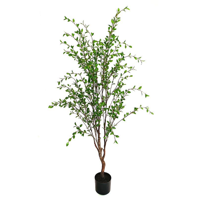 1906 Artificial Small-Leafed Tree