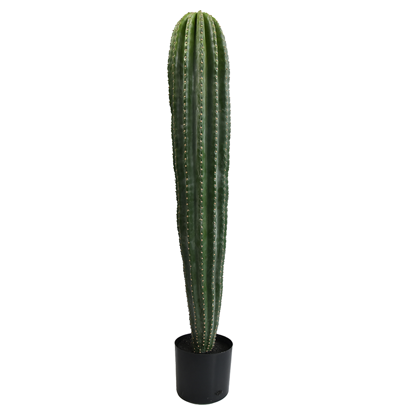 DTXRB-R Artificial Big Head Cactus Stick