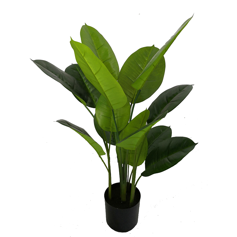 LL  Artificial Pothos
