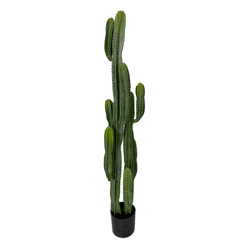 XRB-Z Artificial Cactus Stick