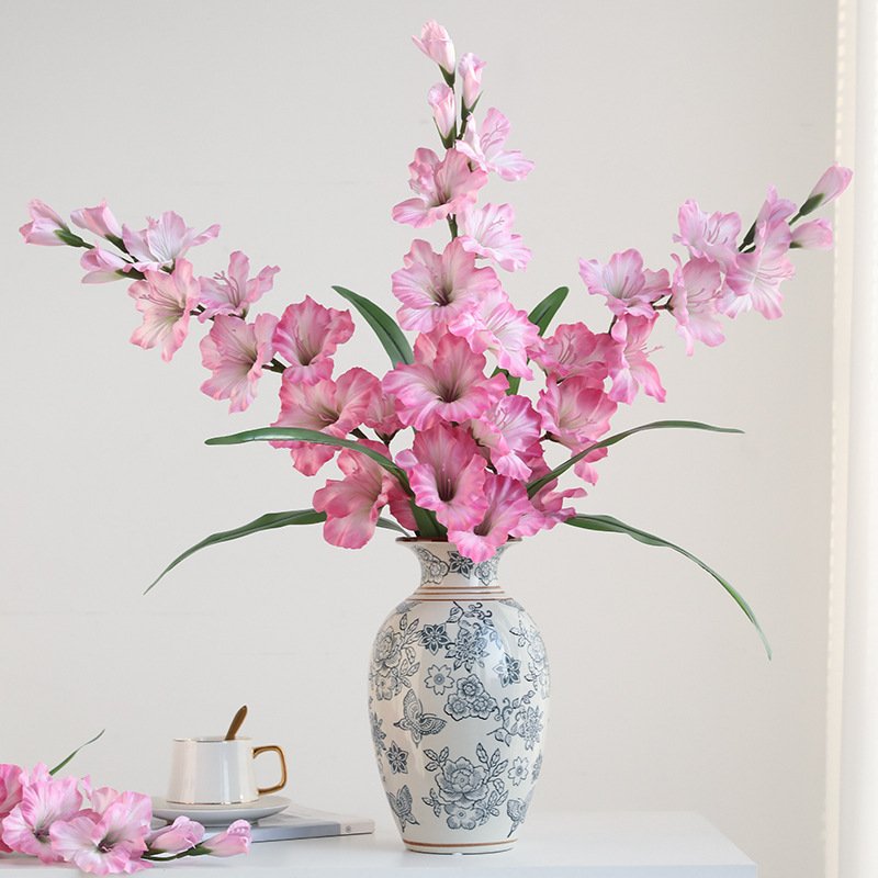 Single - Stem Shaohua Gladiolus