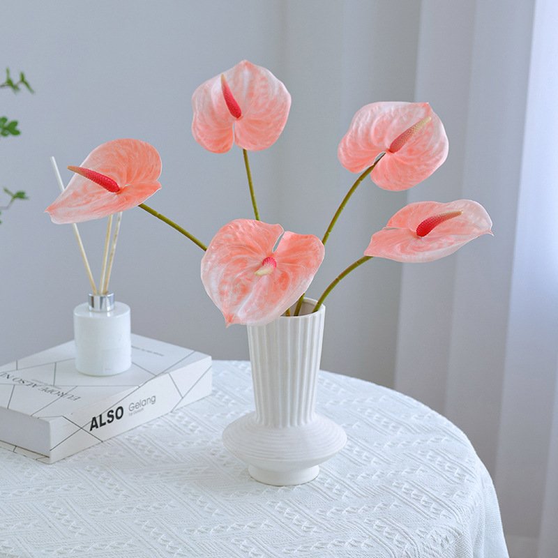 Single Medium-Sized Anthurium