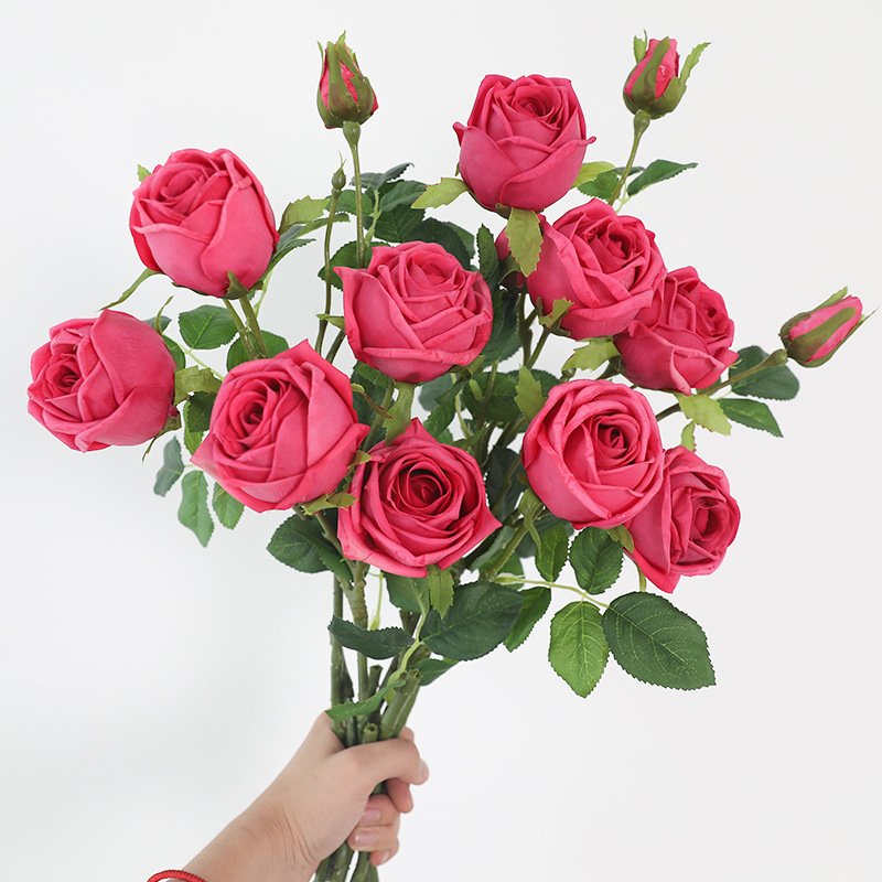 3-Head Hand-Feel Finland Rose