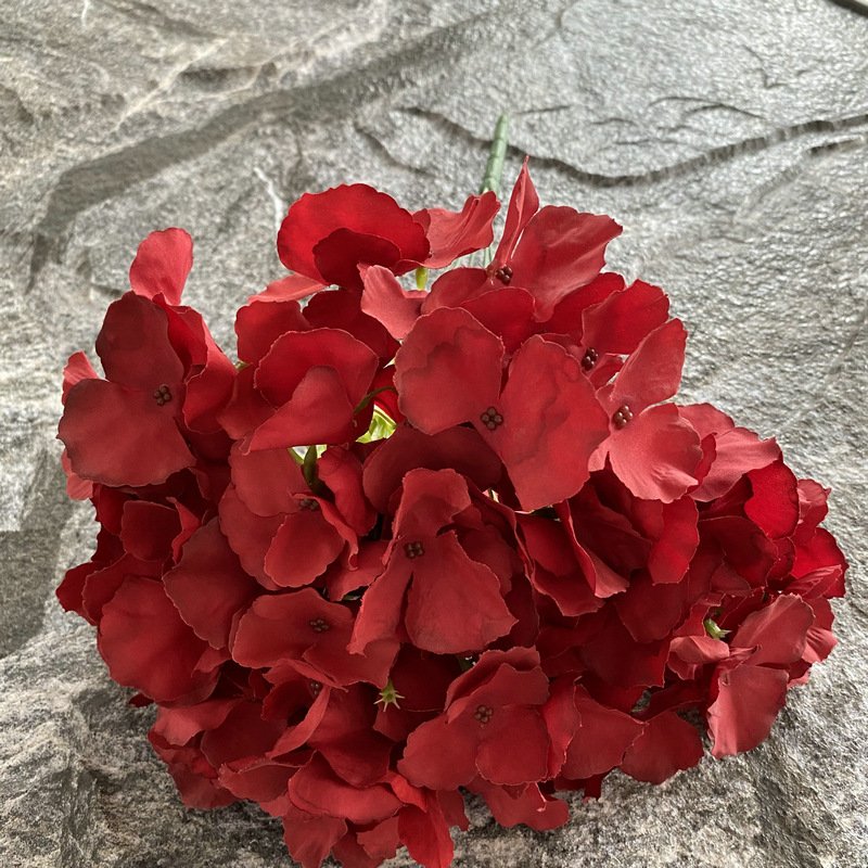 5-Head Leafless Hydrangeas