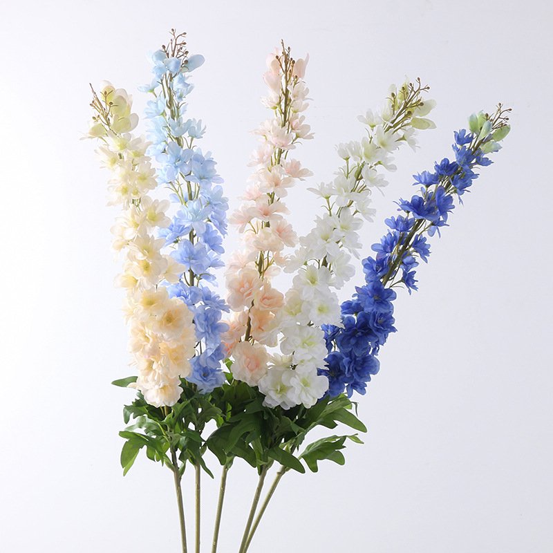 Tangyue Delphinium