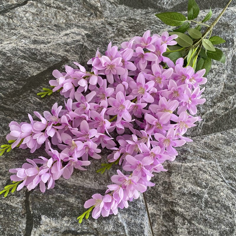 5-Pronged Freesia Short