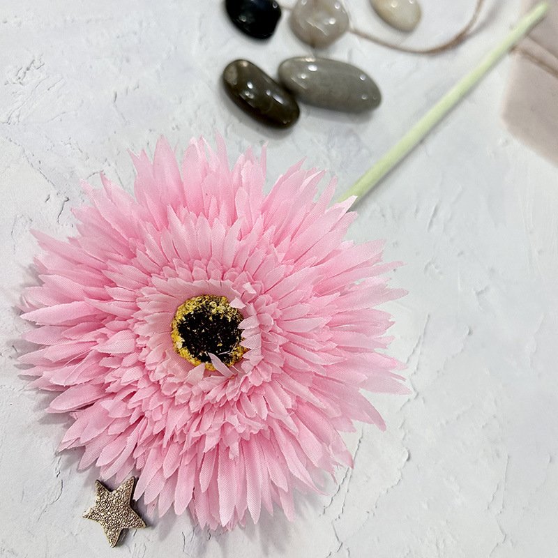 Single Gerbera Chrysanthemum