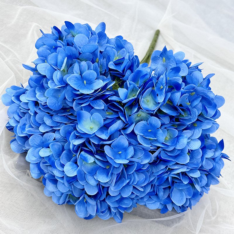 5-Head Pomegranate Hydrangea