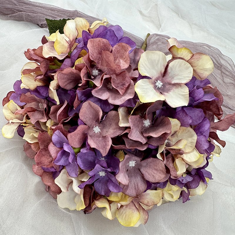 5-Head Autumn-Colored English Hydrangeas