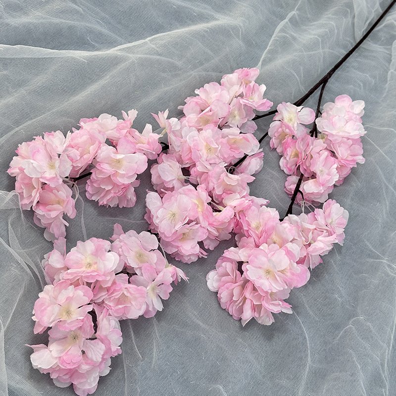 Encrypted Cherry Blossom