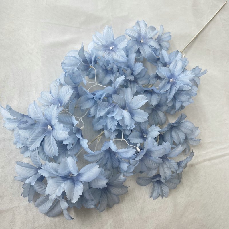 Cherry Blossom Edelweiss