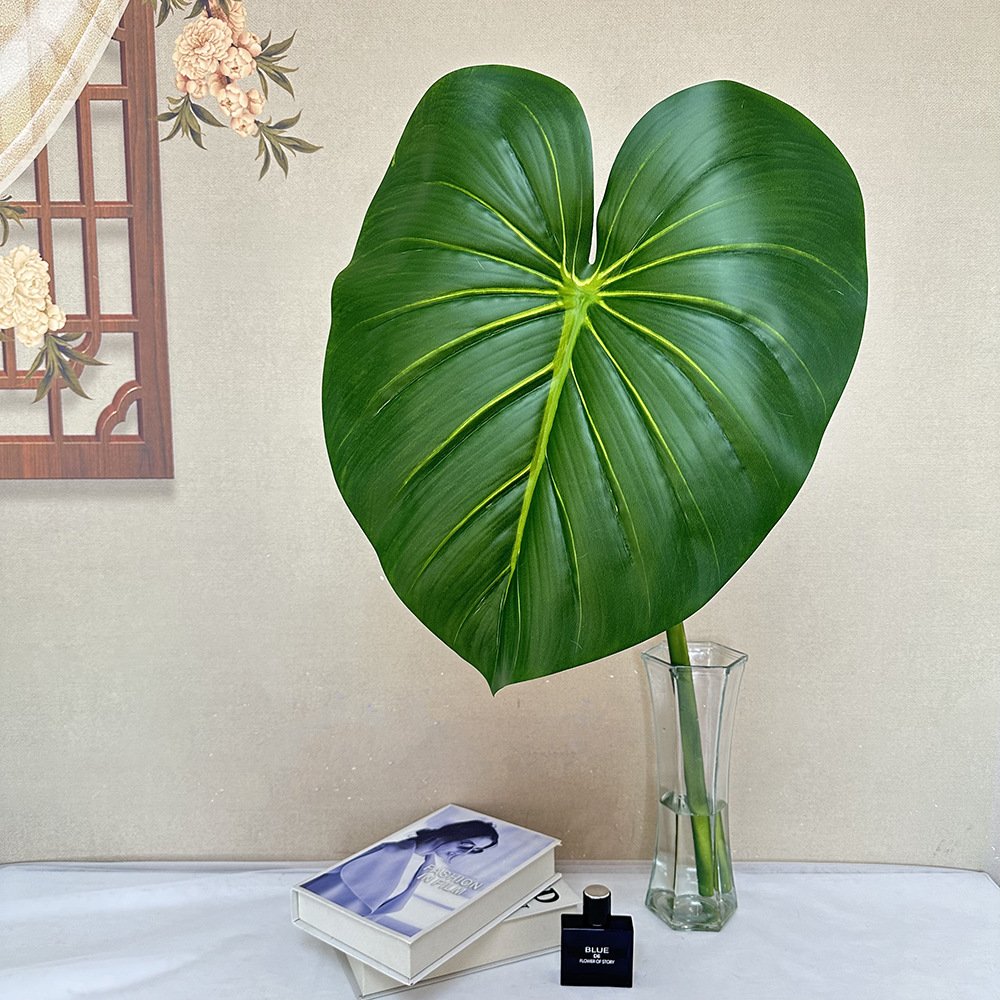 Philodendron Large